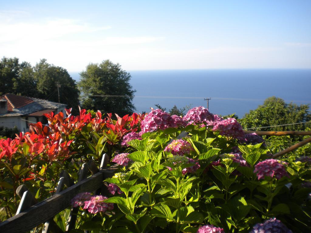 Marelmy Villa Mouresi Exterior photo